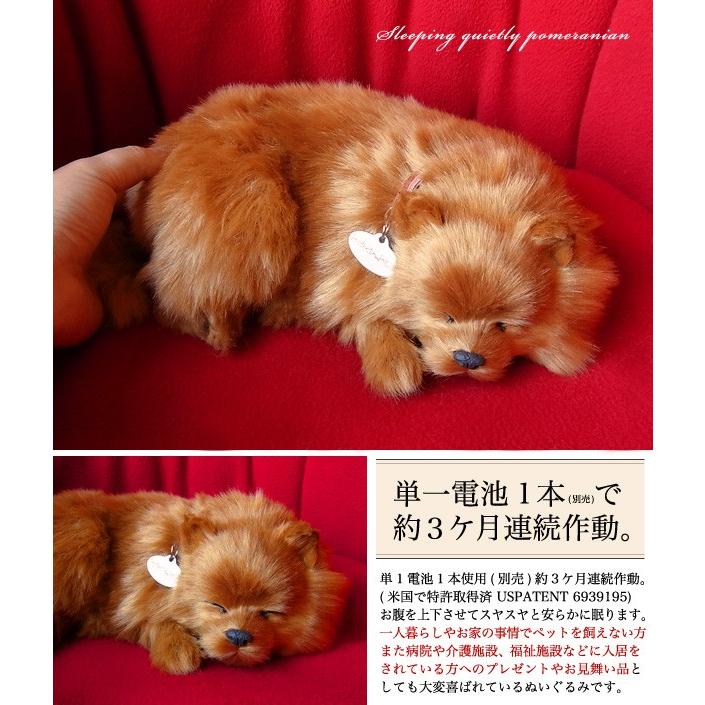 ニニアンドキノ パーフェクトペット (小サイズ) ポメラニアン