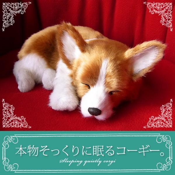 5 Off パーフェクトペット コーギー ぬいぐるみ 犬 いぬ イヌ リアル 本物 そっくり Materialworldblog Com