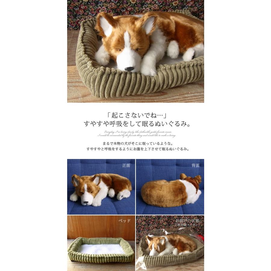ニニアンドキノ パーフェクトペット (大サイズ) コーギー ぬいぐるみ