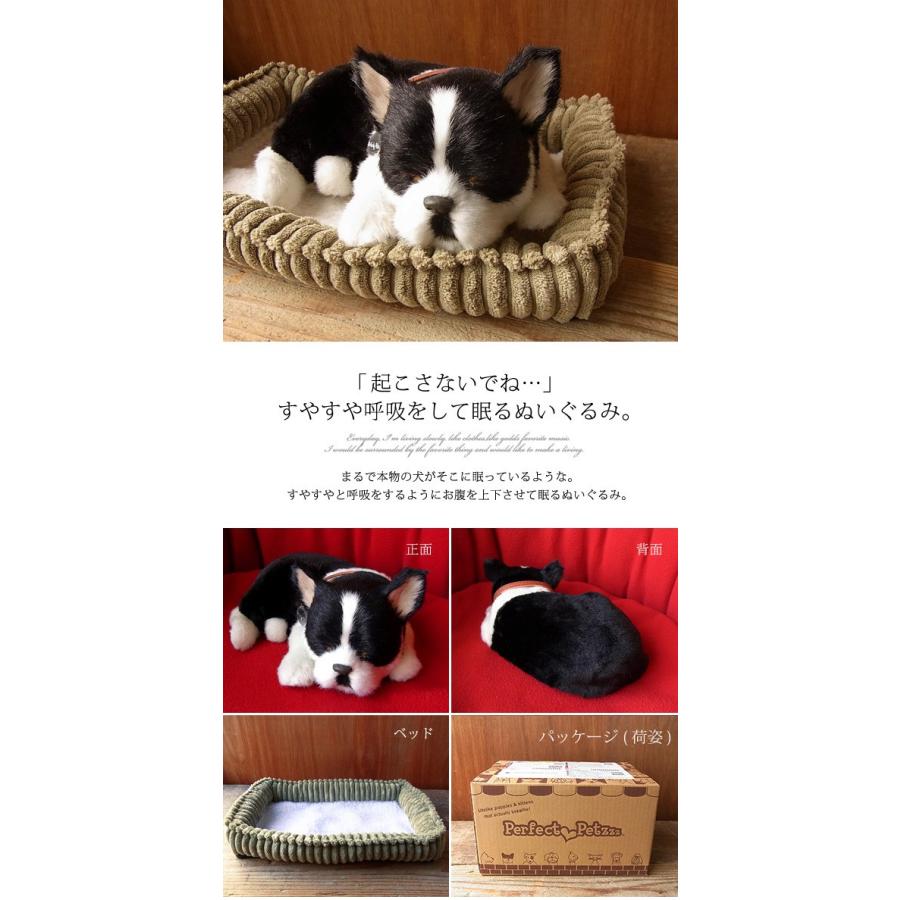 ニニアンドキノ パーフェクトペット (小サイズ) ボストンテリア