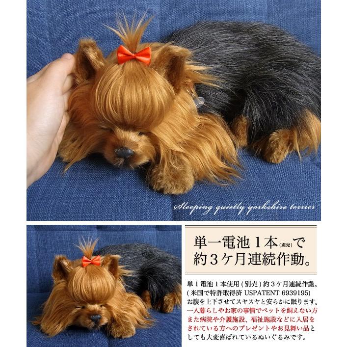 ニニアンドキノ パーフェクトペット (大サイズ) ヨークシャテリア