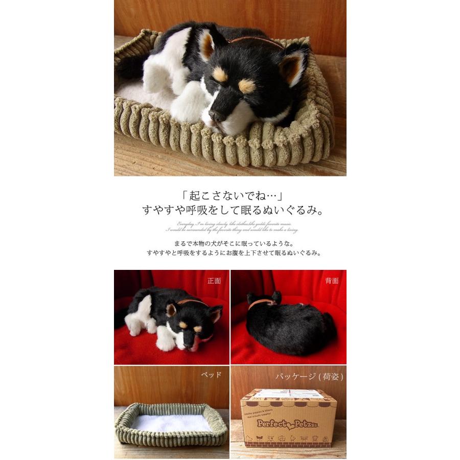 ★イヌネコ Pet好き★ 在庫確認必要】空調ペット服 COOL DOG ファン付き 犬猫兼用