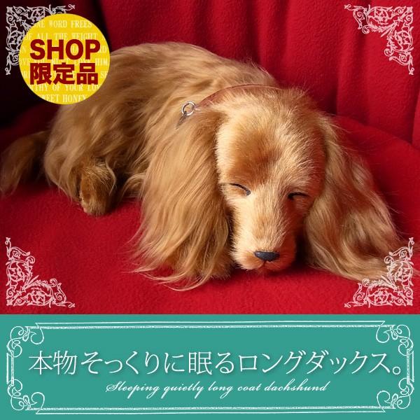 ニニアンドキノ ぬいぐるみ 犬 リアル パーフェクトペット (小サイズ
