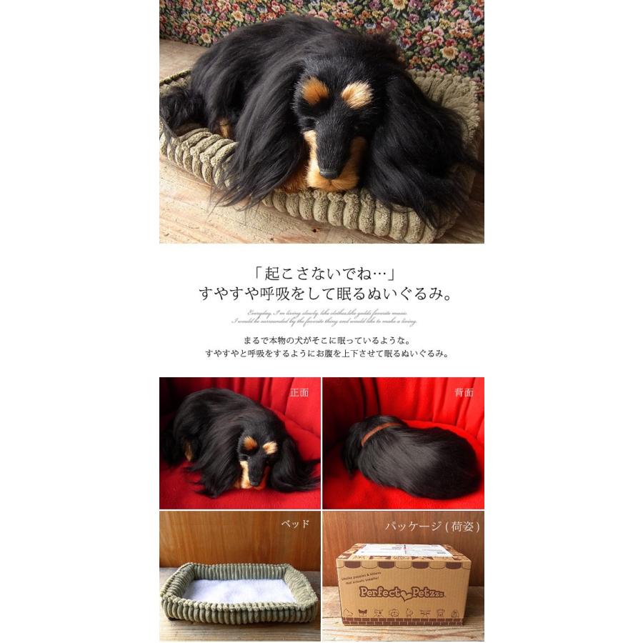 ニニアンドキノ パーフェクトペット (小サイズ) ダックス ロング