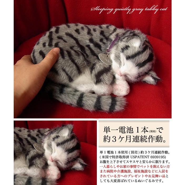 ニニアンドキノ ぬいぐるみ 猫 リアル パーフェクトペット (小サイズ