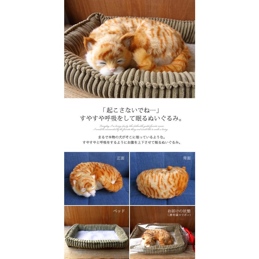 簡易ラッピングでお届け パーフェクトペット 大 茶トラ猫 ぬいぐるみ 猫 ネコ ねこ ぬいぐるみ リアル 本物 そっくり ペット N Uc Pp 92 17 ニニアンドキノ Yahoo 店 通販 Yahoo ショッピング