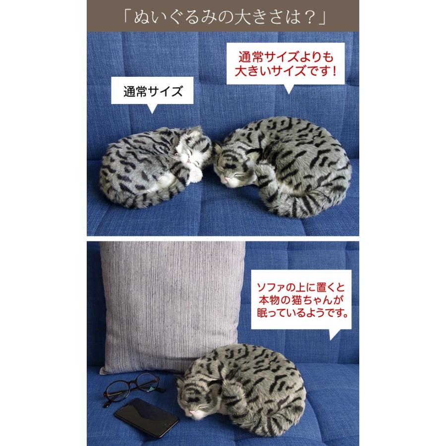 ニニアンドキノ パーフェクトペット (大サイズ) サバトラ猫 ぬいぐるみ