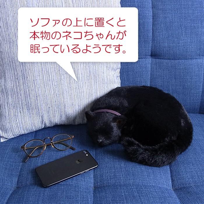 ニニアンドキノ パーフェクトペット (大サイズ) 黒猫 ぬいぐるみ 猫 ねこ ネコ リアル 本物 そっくり 雑貨 動物 アニマル 癒し 動く プレゼント ギフト お祝い｜niniquino｜06