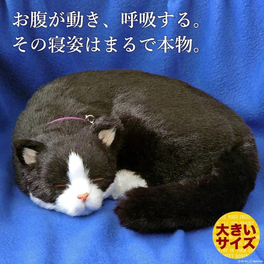 ニニアンドキノ パーフェクトペット (大サイズ) ハチワレ猫 ぬいぐるみ