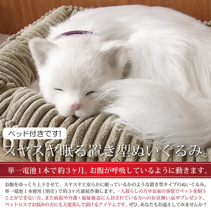 正規品 簡易ラッピングでお届け パーフェクトペット 大 白猫 長毛 ぬいぐるみ 猫 ネコ ねこ ぬいぐるみ リアル 本物 そっくり ペット 交換無料 Www Simon Page Com