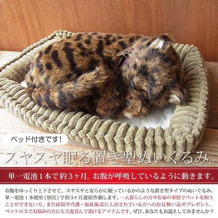 ニニアンドキノ パーフェクトペット (小サイズ) キジトラ猫