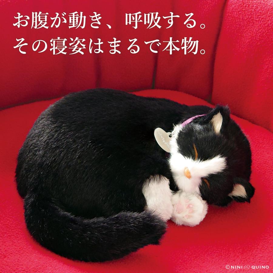 ニニアンドキノ パーフェクトペット (小サイズ) ハチワレ猫 ぬいぐるみ リアル 本物そっくり 猫 癒し ペットロス 高級 ギフト プレゼント 贈り物 インテリア 観（Yahoo!・ニニアンドキノ Yahoo!店）
