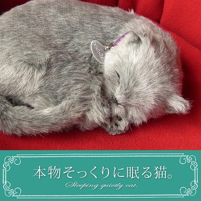 猫 ぬいぐるみ リアル パーフェクトペット ロシアンブルー ぬいぐるみ N Uc Pp Cat S Russianblue ニニアンドキノ Yahoo 店 通販 Yahoo ショッピング
