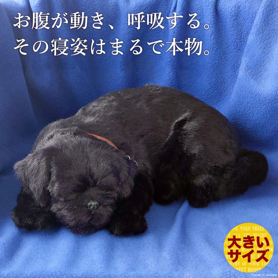 ニニアンドキノ ぬいぐるみ 犬 リアル パーフェクトペット (大サイズ