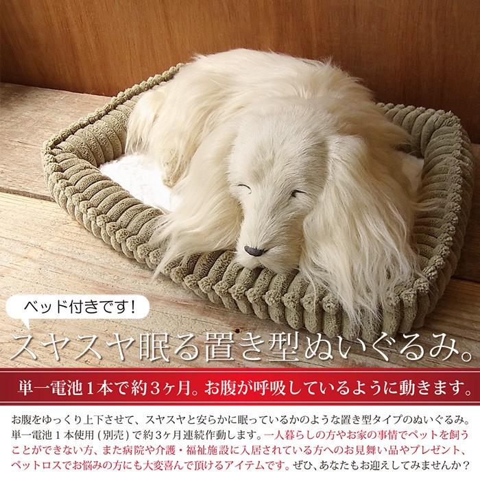 ニニアンドキノ ぬいぐるみ 犬 リアル パーフェクトペット (小サイズ