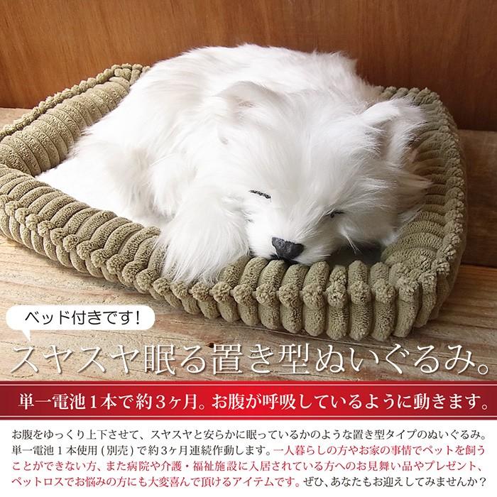 ニニアンドキノ ぬいぐるみ 犬 リアル パーフェクトペット (小サイズ