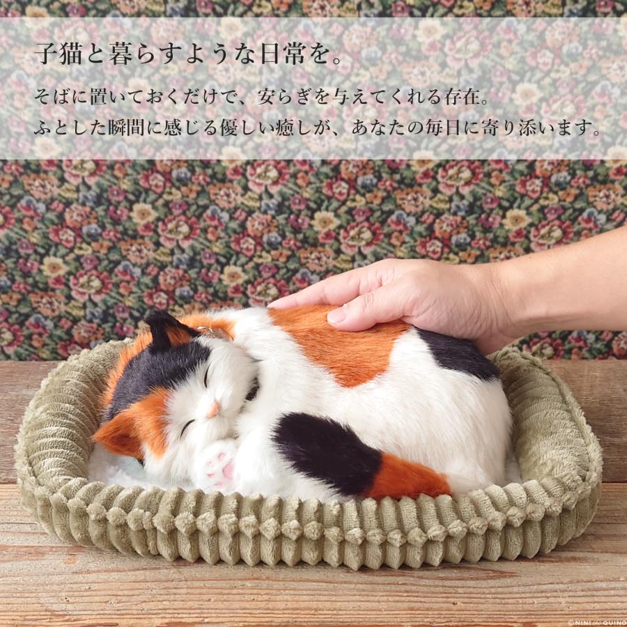 ニニアンドキノ ぬいぐるみ 猫 リアル パーフェクトペット (小サイズ