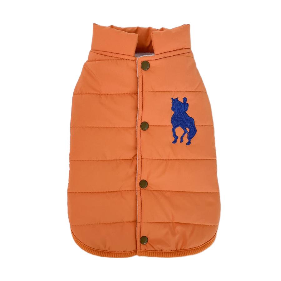 ジジ・ルシアン ZIZILECHI 背中開き刺繍ダウン風ジャケット 秋冬モデル