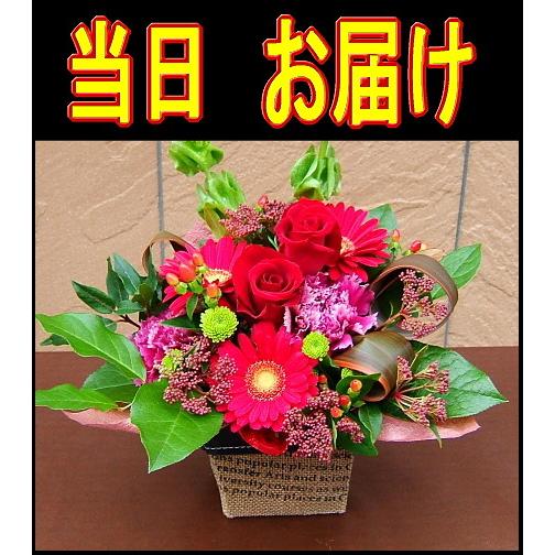 当日即日発送　あすつく　アレンジメント　結婚記念日　クリスマス　（花束 誕生日プレゼントにも変更可能）