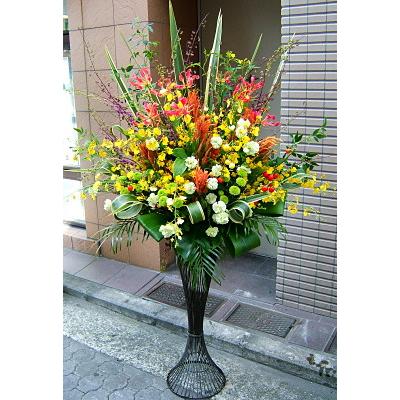 お祝い 開店祝い 結婚記念日 いい夫婦の日 人気ランキング おまかせ スタンド フレッシュスタンド 盛り花 人気ランキング C Q0086 花束 胡蝶蘭フラワーギフト屋 通販 Yahoo ショッピング