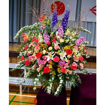 50 Off お祝い 開店祝い 結婚記念日 お中元 人気ランキング おまかせ 壇上 盛り花 人気ランキング 楽天市場 Www Danieleonorato Com