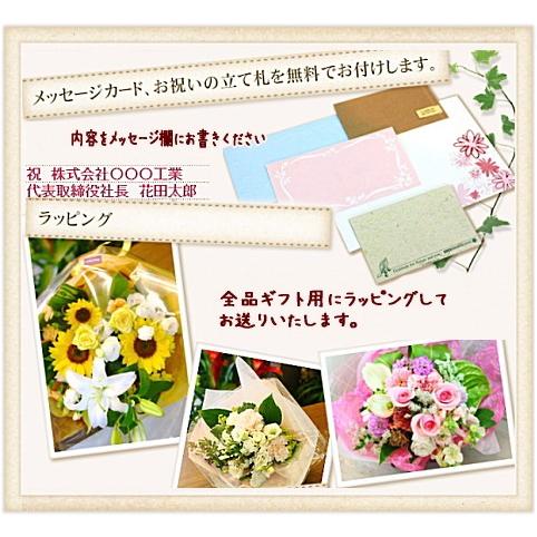 71 Off 誕生日 開店祝い 結婚記念日 お中元 プレゼント 花 ギフト 人気 ランキング 記念日 Aynaelda Com