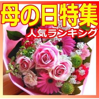 お祝い 開店祝い 結婚記念日 いい夫婦の日 人気ランキング 花束 バラなどのおまかせ 誕生日 プレゼント お祝い 開店祝い 結婚記念日 いい夫婦の日 Oma 1187 花束 胡蝶蘭フラワーギフト屋 通販 Yahoo ショッピング