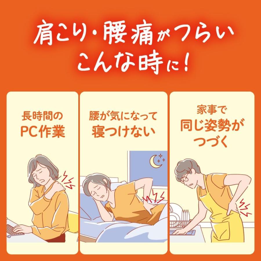 めぐりズム 医療機器 肌に直接貼るシート 16枚入 (×12個セット) ケース