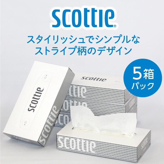 スコッティ（scottie） ティッシュ 200組 5箱×12パック(60箱