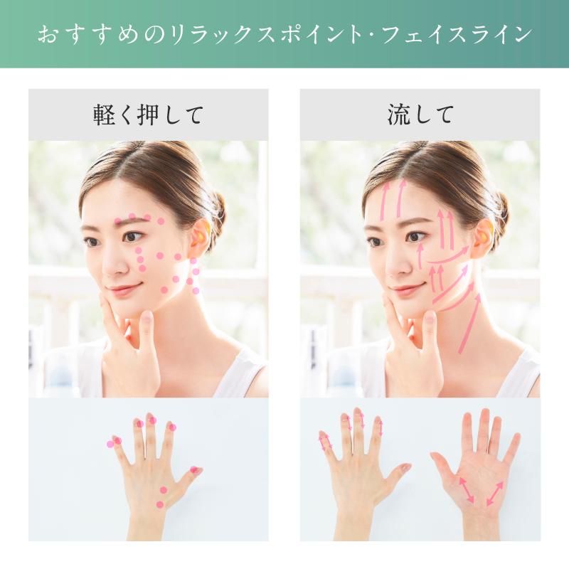 NIPLUX FACE Potpen フェイスポッペン 顔 ポスポス フェイス