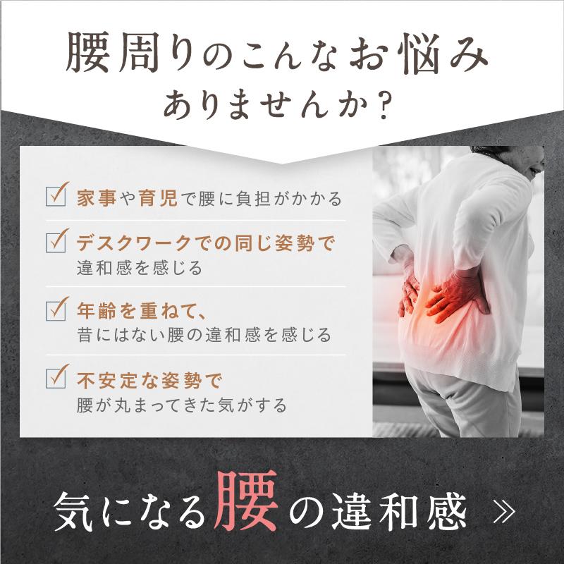 NIPLUX WAISTUPREMS（ウエスタプレミス）NP-WR23 NIPLUX 腰マッサージ機 腰ケア ストレッチャー EMS 温熱 牽引
