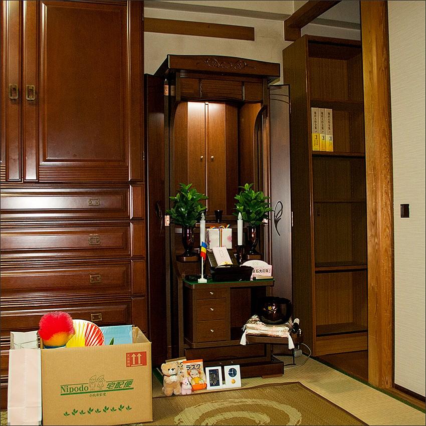 トレニア　ノーマル　LED照明付 |  | 12