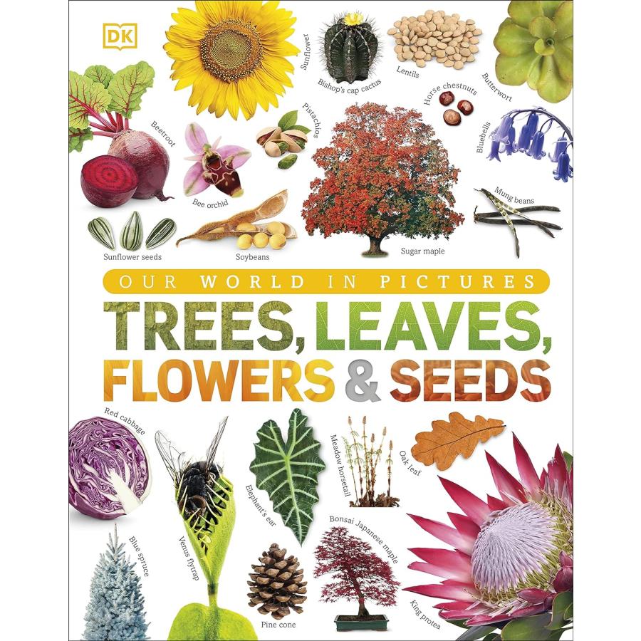 Trees, Leaves, Flowers & Seeds（英語絵本）【予約注文商品】【注文後