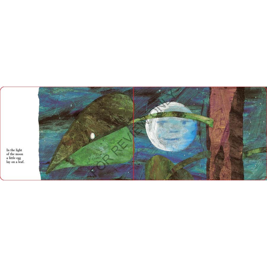 はらぺこあおむし（英語絵本）THE VERY HUNGRY CATERPILLAR 幼児用