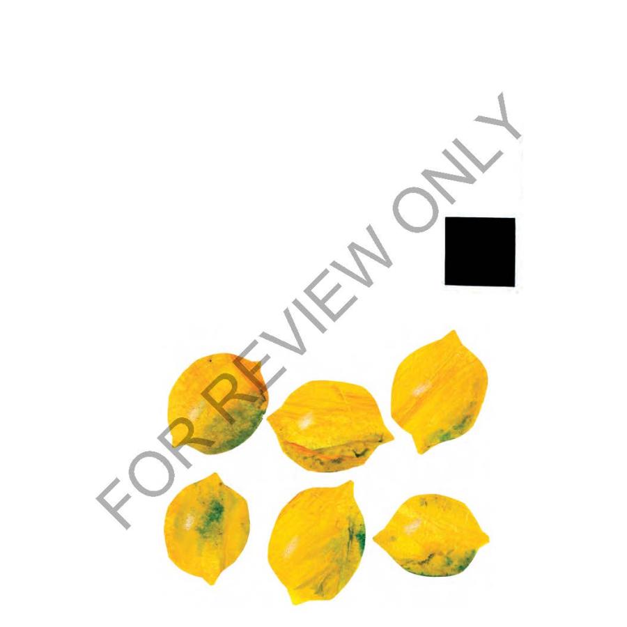 MY VERY FIRST BOOK OF NUMBERS（英語絵本）エリック・カール 幼児用