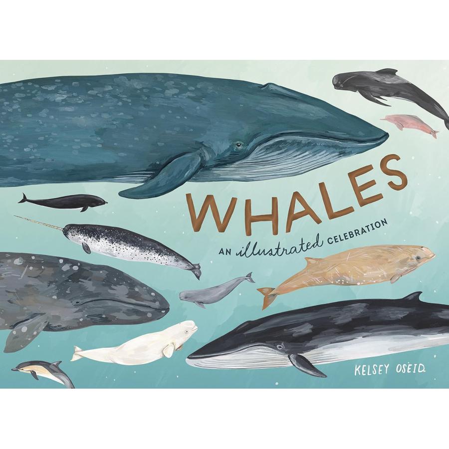 WHALES（英語絵本）クジラ　イルカ　動物　外国の絵本　ハードカバー : 世界とつながる本屋さん Bookbird - 通販 -  Yahoo!ショッピング