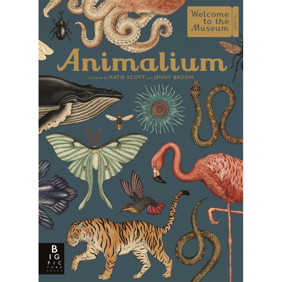 専用　ANIMALIUM/Animalia　洋書2冊セット 専用 ANIMALIUM/Animalia 洋書2冊セット Amazon | Animalium