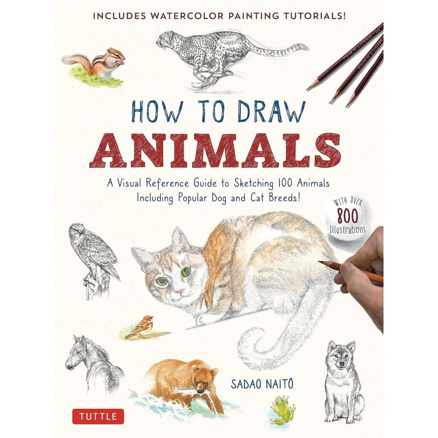 HOW TO DRAW ANIMALS【予約注文商品】【注文後約1ヵ月程度で発送
