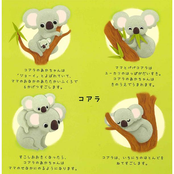 2025年12月5日発売・発売日以降発送】【マジック・ウィールのえほん