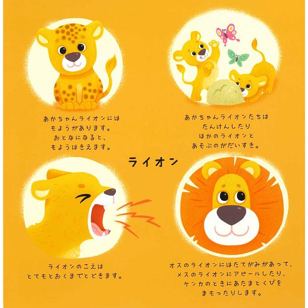 2025年12月5日発売・発売日以降発送】【マジック・ウィールのえほん