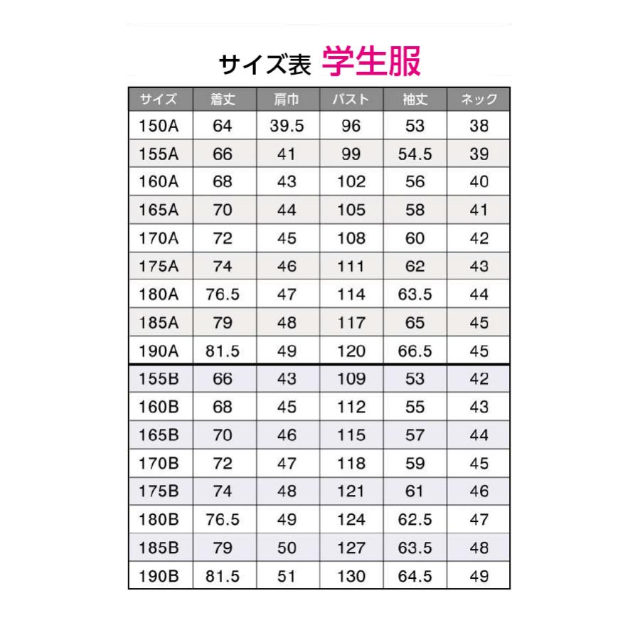 学生服 学ラン 上着 冬 全国標準型 A体 ポリエステル100% 送料無料