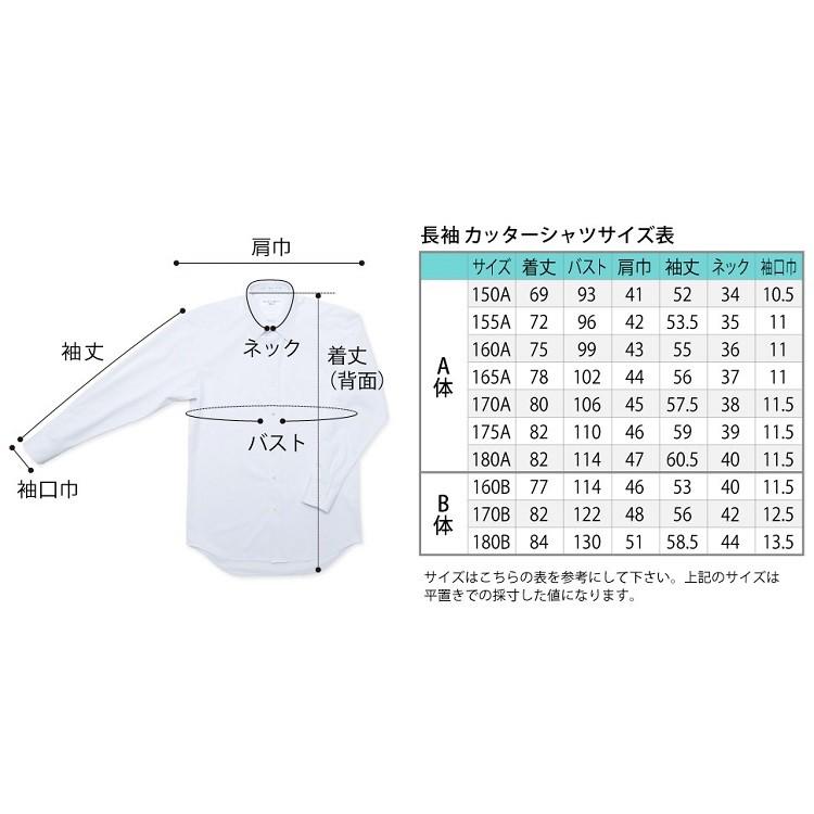 学生服 男子 長袖 スクールシャツ テトロン65% 綿35% 2枚セット 4600
