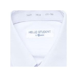 学生服 男子 長袖 スクールシャツ テトロン65% 綿35% 2枚セット 4600