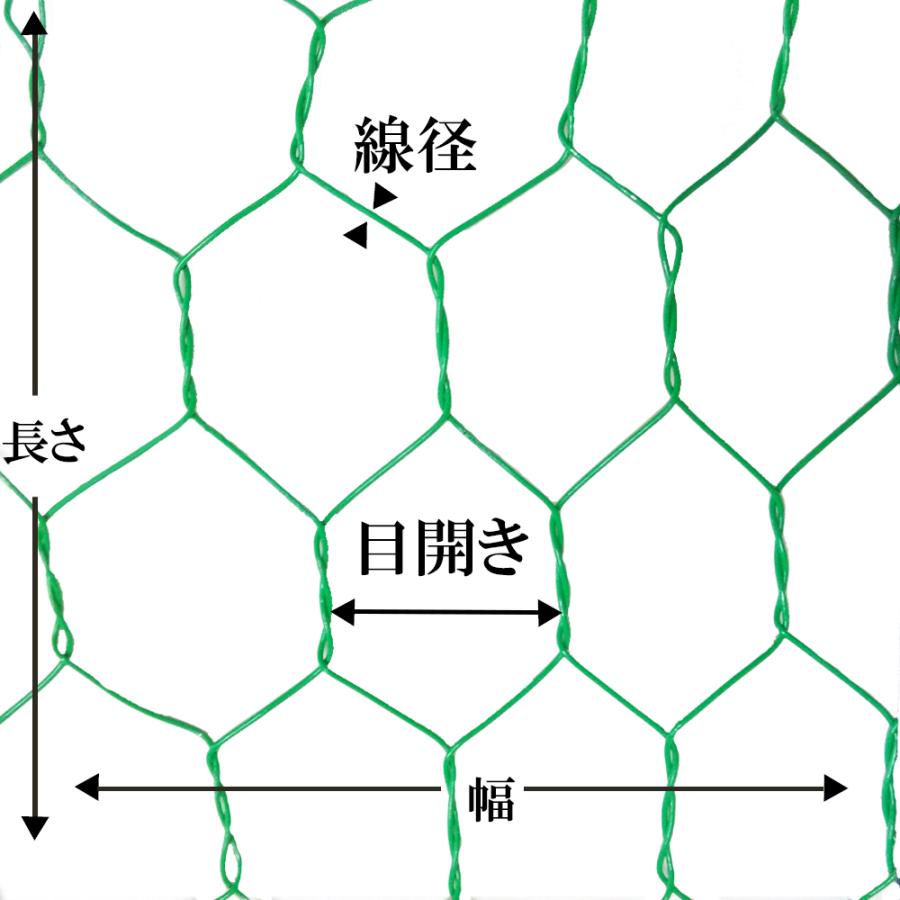 ビニール亀甲金網 グリーン #20 線径0.85mm 目開き16mm 幅455mm 長さ30m｜nippon-clever｜02