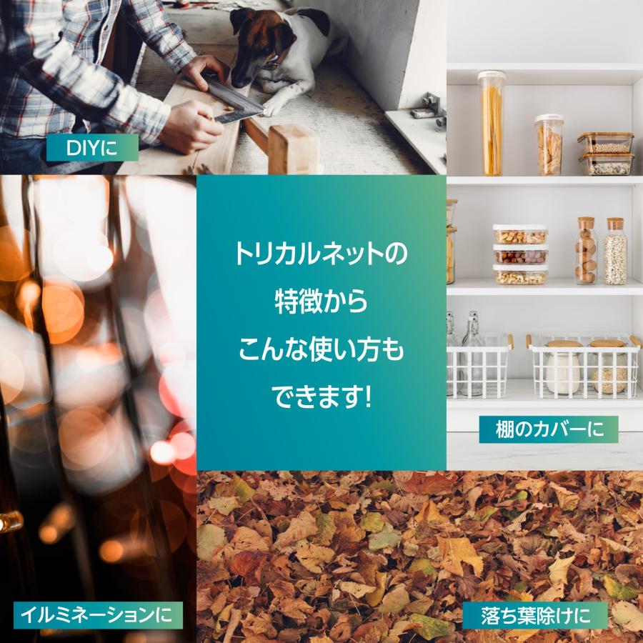 プラスチックネット トリカルネット H01 ブラック 幅1000mm 長さ20m