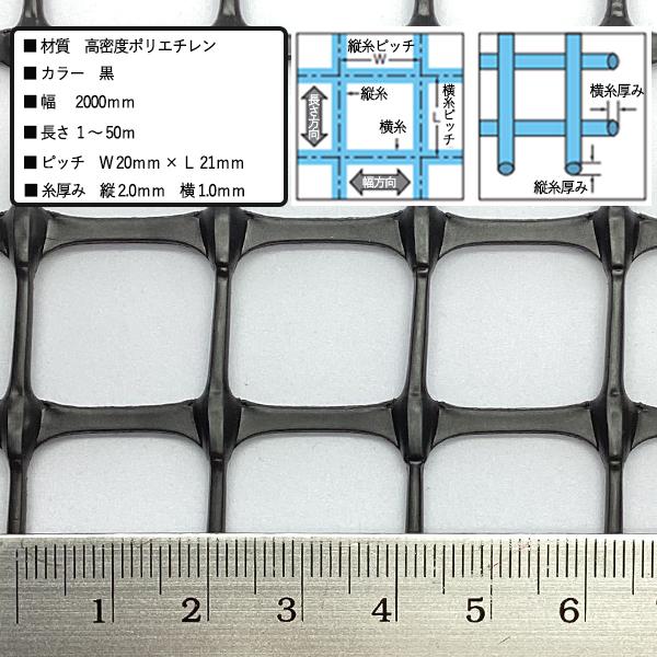 防鳥 防獣 トリカルネット N-955 黒 2000mm×20m  切り売り 角目 タキロンシーアイ 雨どい 園芸 フェンス 侵入防止 獣害対策 保護 防雪 イルミネーション｜nippon-clever｜02