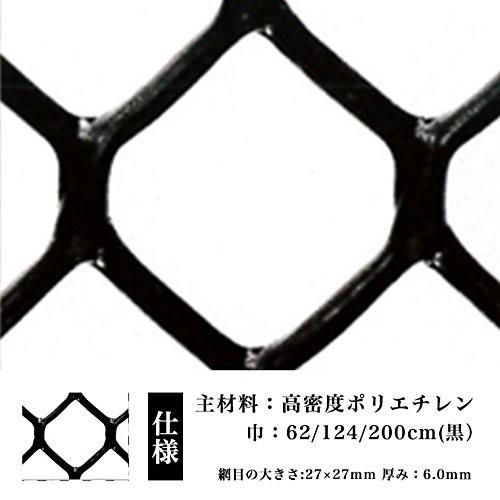 防鳥 防獣 ネトロンネット WF-1 黒  2000mm×10m 切り売り 菱目 タキロンシーアイ 雨どい 園芸 フェンス 侵入防止 獣害対策 保護 ネトロンシート