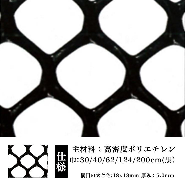 防鳥 防獣 ネトロンネット WF-2 黒  2000mm×9m 切り売り 菱目 タキロンシーアイ 雨どい 園芸 フェンス 侵入防止 獣害対策 保護 ネトロンシート