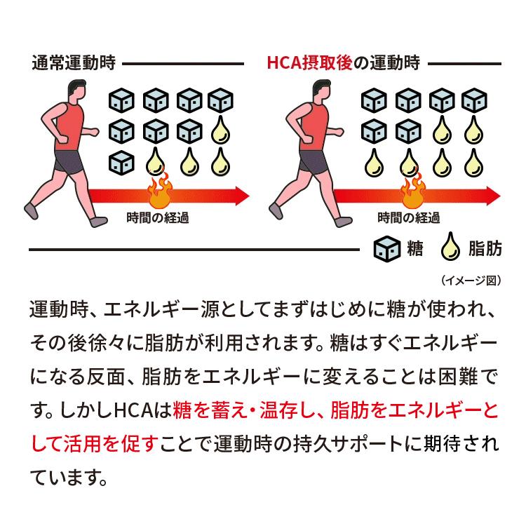 運動中の脂肪燃焼を高める サプリ イータブレットバーナー E-TABLET BURNER 2袋セット 62日分 機能性表示食品｜nippon-shinyaku｜10