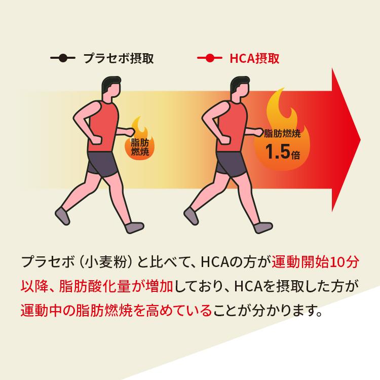 運動中の脂肪燃焼を高める サプリ イータブレットバーナー E-TABLET BURNER 3袋セット 93日分 機能性表示食品｜nippon-shinyaku｜08